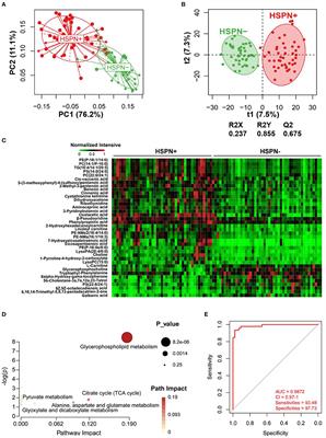 Serum-Urine Matched Metabolomics for Predicting Progression of Henoch-Schonlein Purpura Nephritis